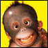 Flubber`s alternatives Ego